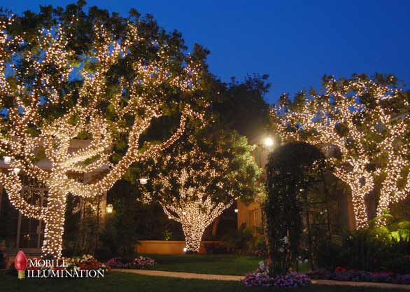 Tree Wrapping And Lighting, Lights To Wrap Around Trees