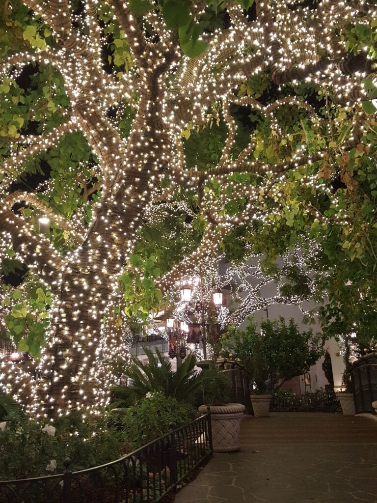 Grove Tree Lights